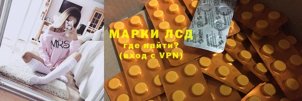 дмт Алзамай