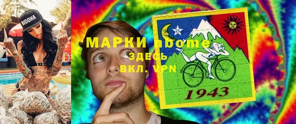 дмт Алзамай