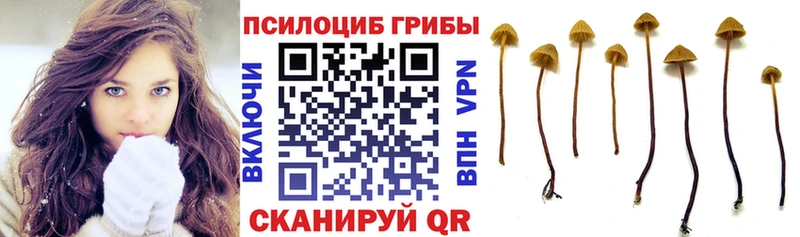 Псилоцибиновые грибы ЛСД  Апрелевка 
